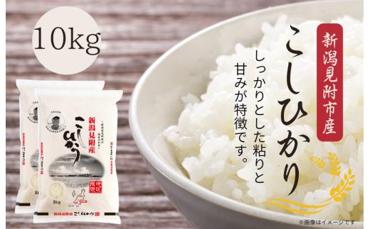 令和7年産 新潟見附市産コシヒカリ10kg（5kg×2）