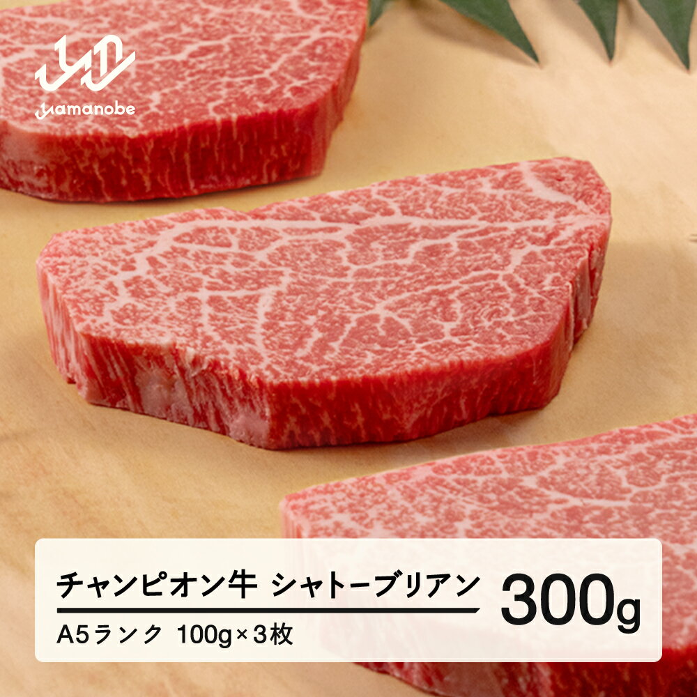 【ふるさと納税】第30回山形県家畜商牛枝肉共進会チャンピオン受賞 山形牛 シャトーブリアン ステーキ 100g×3枚 A5ランク 牛肉 黒毛和牛 国産 送料無料 tc-cptxt300 ※沖縄・離島への配送不可