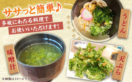 天然 生あおさ 3袋（60g/袋）《壱岐市》【馬渡水産】 あおさ アオサノリ あおさのり 海藻 味噌汁 海苔 青のり[JAQ003]