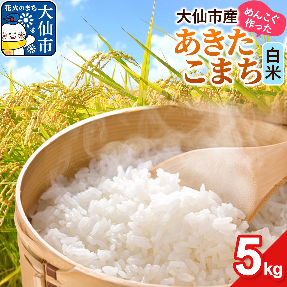 【ふるさと納税】米 あきたこまち 白米 5kg 秋田県 大仙市 伊藤精米店 [特A あきたこまち アキタコマチ 秋田こまち 秋田小町 コメ kome 米どころ 5 キロ ご飯 ごはん 白米 伊藤精米店 秋田県 大仙市]
