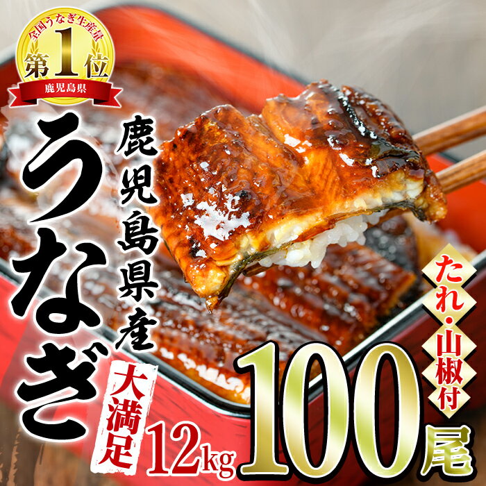 【ふるさと納税】＜大満足＞東串良町のうなぎ蒲焼(無頭)(120g×100尾・計約12000g・タレ、山椒付)うなぎ 高級 ウナギ 鰻 国産 蒲焼 蒲焼き たれ 鹿児島 ふるさと 人気【アクアおおすみ】【4504306a】