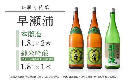 入手困難【早瀬浦】純米吟醸 1800ml × 1本 ＆ 本醸造 1800ml × 2本 セット【飲み比べ 日本酒 地酒 福井 美浜 早瀬 フルーティ 男酒 硬水 ミネラル 希少 ご褒美 家飲み】[m1