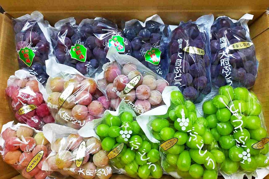 【2024年先行予約・数量限定】園主おまかせ特選ぶどう詰合せ 約２kg  (当園栽培16品種の中より厳選) ＜2024年8月中旬〜発送＞