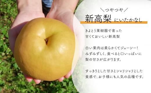 【2026年先行予約】新高梨 上級品 3-6玉 (岡山県産)【KF-C002-01】