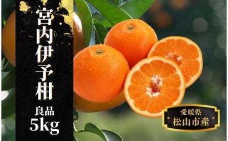 【宮内伊予柑】良品 約 5kg ＜2026年2月ー3月中旬頃発送＞ 柑橘 くだもの フルーツ 愛みかん 愛媛みかん ミカン フルーツ 果物 みかん 柑橘 甘いみかん【PT008_x】