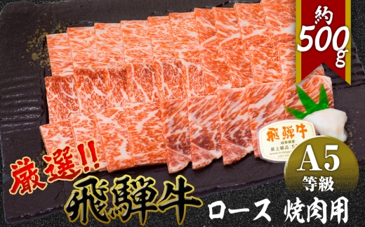 店主こだわり雌牛 飛騨牛A5等級　ロース　焼肉用　約500g [No.038] ／ 牛肉 ブランド牛 やきにく メス牛 冷凍 岐阜県 特産
