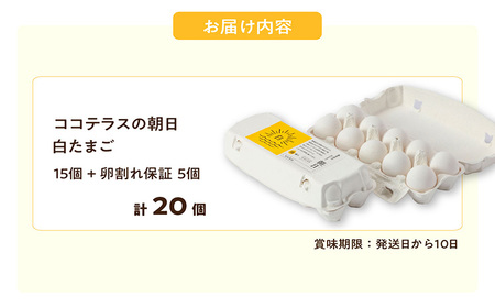 ココテラスの朝日（白たまご）15個 + 5個保証（計20個）【JGAP認証】 農家直送 新鮮 卵 タマゴ 白卵 玉子 鶏卵 朝食 夕食 夜食 朝ごはん たまご焼き だし巻き卵 オムレツ 卵ご飯 料理 