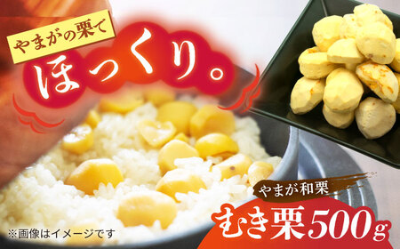 先行予約 むき栗 約500ｇ（約250g×2pc） 【すみれファーム】[ZEP059]