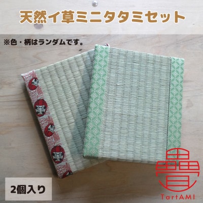 大阪府和泉市　国産　ミニタタミ2点セット　天然イ草　畳【色・柄ランダム】【1679551】