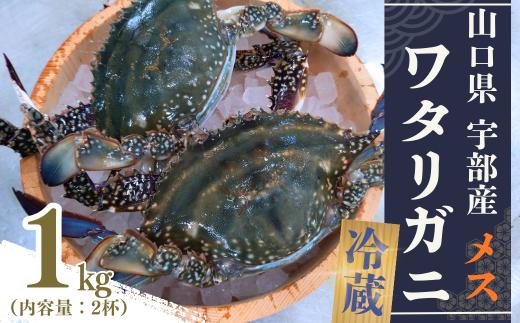 ワタリガニ 冷蔵 ワタリガニ メス 2杯 (約1kg)