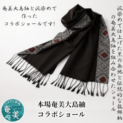 ふるさと納税 奄美市 奄美大島紬　コラボショール