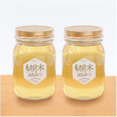 ふるさと納税 稲沢市 もちの木はちみつ　500g　2本セット