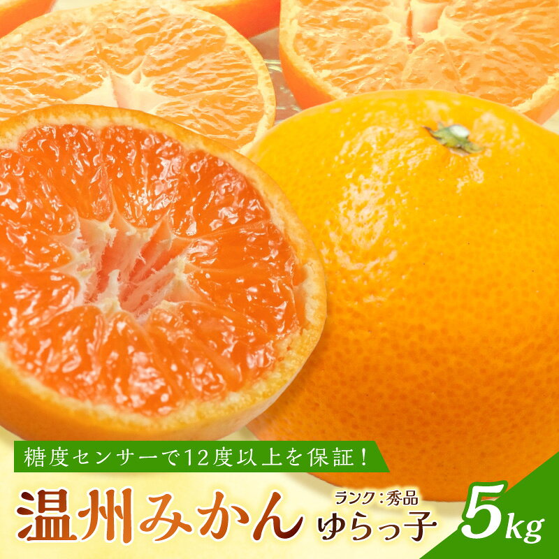 【ふるさと納税】御坊市・日高川町・由良町産 温州みかん(ゆらっ子)5kg《先行予約》