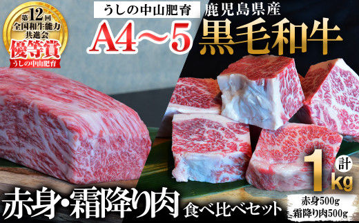 
【数量限定】A4・A5等級うしの中山黒毛和牛ブロック赤身(モモorロース 500g)・霜降り肉(バラorカルビ 500g)食べ比べセット合計1kg c0-101
