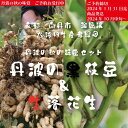 【ふるさと納税】枝豆 京都 2024年 先行予約 黒枝豆 生落花生 るり渓 大河内生産組合発 丹波 野菜 国産 生 落花生 おつまみ えだまめ エダマメ 先行 2024 ※北海道・沖縄・離島への発送不可　 南丹市 　お届け：※2024年10月中旬より発送いたします