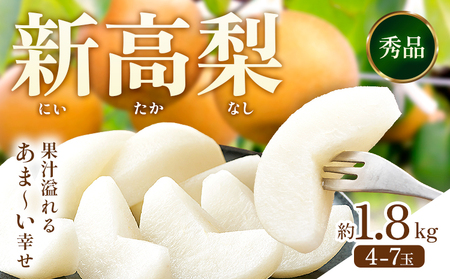 新高梨 約 1.8kg（4～7玉） 日本フルーツ株式会社《9月上旬-10月末出荷》熊本県 荒尾市 新高梨 梨 果物 フルーツ スイーツ デザート ギフト ご贈答