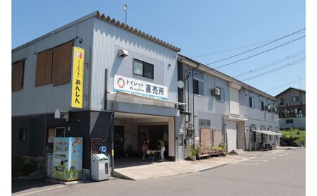 ダブルトイレットペーパー定期便「包装なしWB3」【障がい者支援の返礼品】 雑貨 日用品 生活支援 サポート 