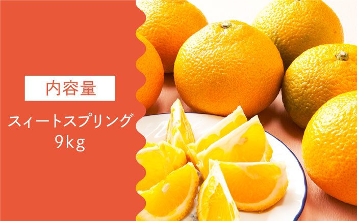 【数量限定】甘くてジューシーな果実 スィートスプリング 約9kg【長崎ぶんたんの会 】[OAF007] /  ミカン 柑橘 果物  フルーツ カンキツ かんきつ 柑橘 柑橘類 スイートスプリング みか