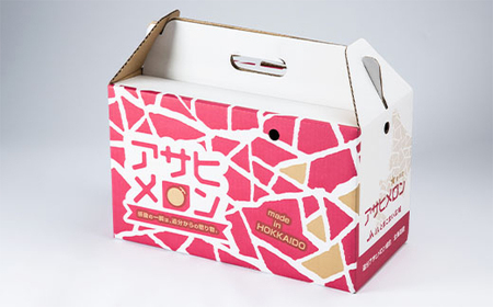 追分アサヒメロン〔秀品〕2玉(5玉サイズ)【JAとまこまい広域取扱 安平町特産品】_果物・フルーツ メロン  めろん_【1395534】
