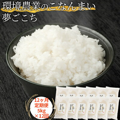 【ふるさと納税】【12ヶ月定期便】環境農業のこなんまい 夢ごこち5kg お米 おにぎり