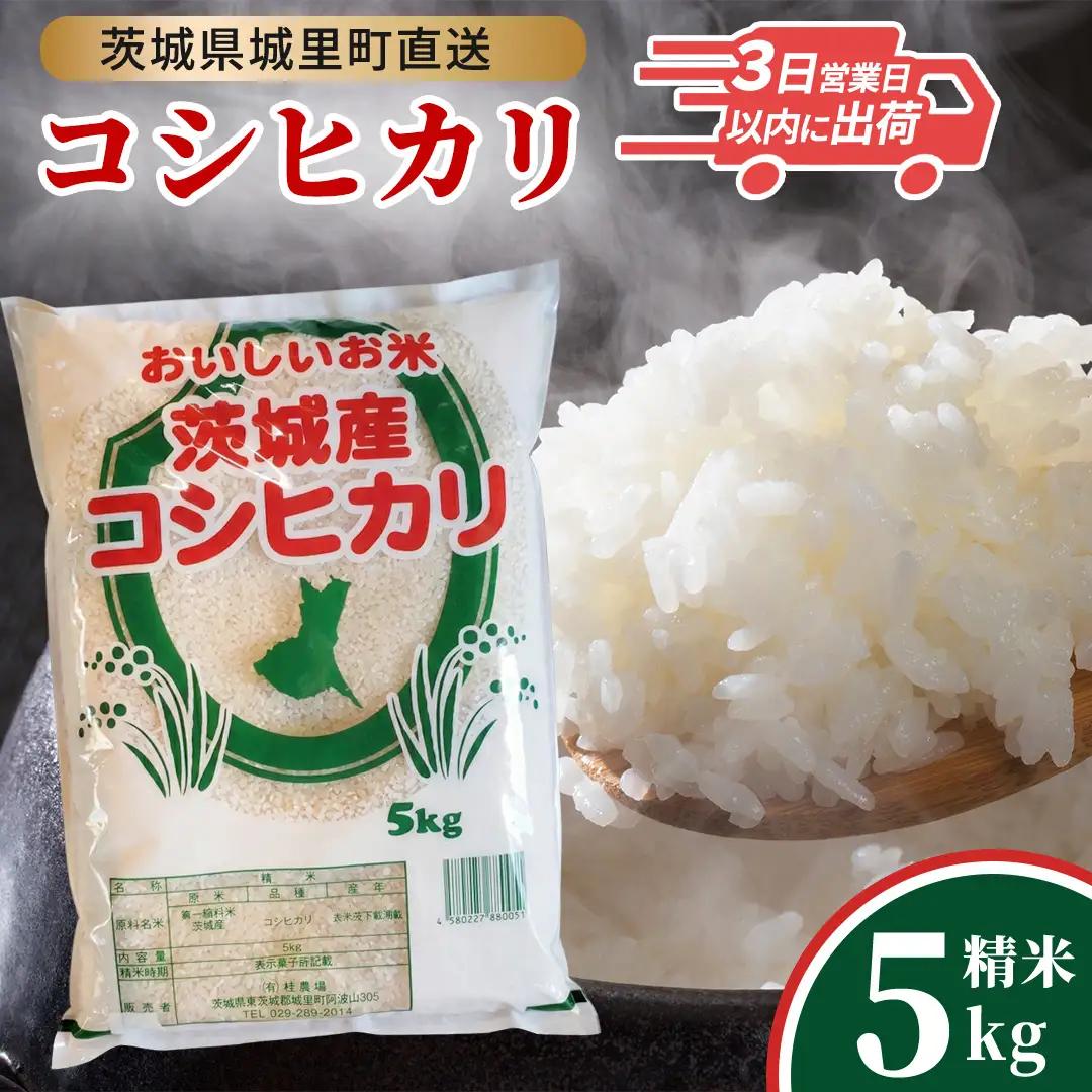 コシヒカリ 精米 5kg 令和7年産 スピード発送 最短3～7営業日出荷 即納 ( AX012 )
