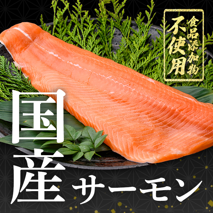 静岡県小山町産 食品添加物不使用 サーモン 国産 富士山 約1kg アトランティック サーモン 訳あり 柵 ポーション アラ 刺身 冷凍 サーモン丼 たたき ワンフローズン