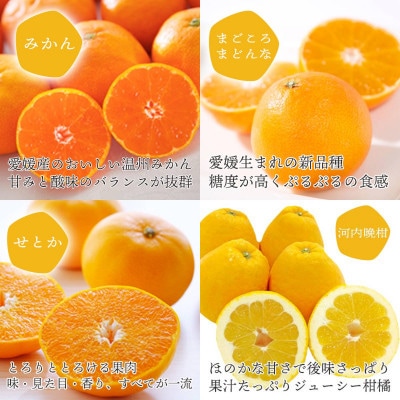 人気品種を厳選!みかん寒天ゼリー食べ比べセット 4品種×2本 計8本 【C25−31】【1502355】