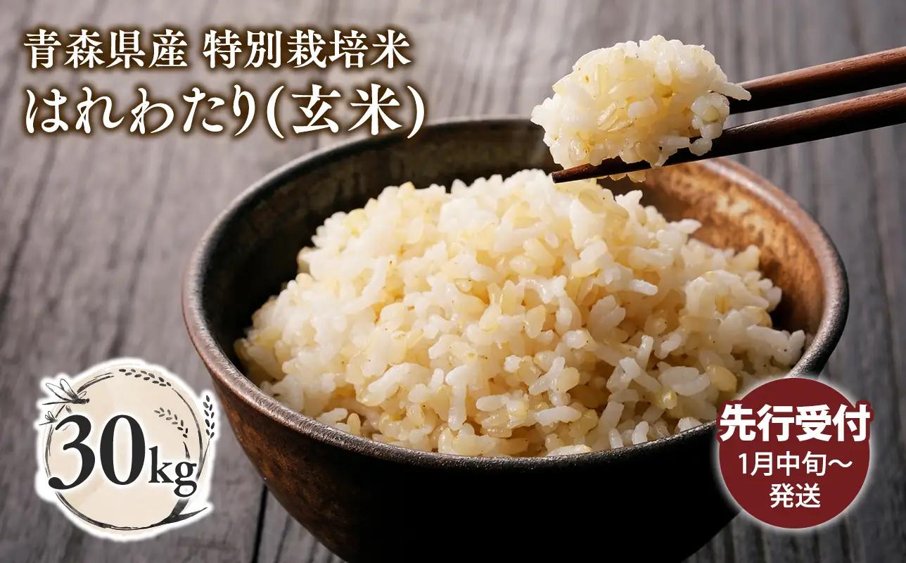 ≪令和8年産 先行予約≫1月中旬よりお届け! 　特別栽培米 はれわたり玄米30kg(10㎏×3袋)【青森県 平川市】先行予約 米 お米 玄米 青森県産 産地直送 おにぎり 朝ご飯 冷めてもおいしい ご