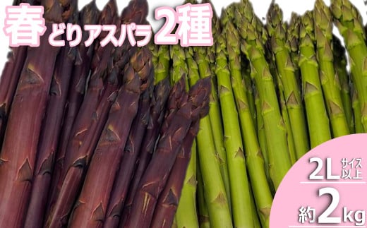 【2025年4月～5月発送】春どりアスパラ2種(2Lサイズ以上・合計約2kg）_H227(R7)