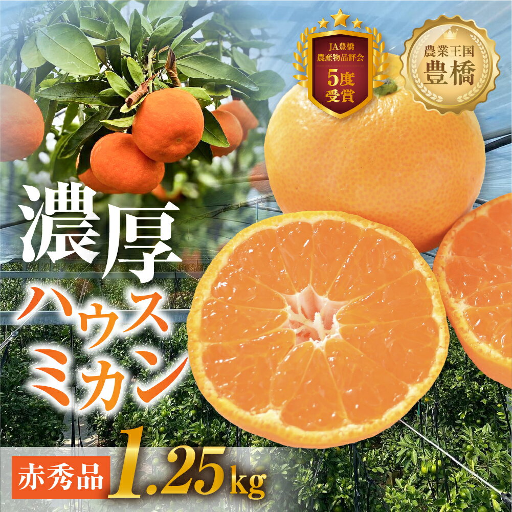 【ふるさと納税】≪先行予約 2026年発送≫ハウスミカン 赤秀品 1.25kg みかん ハウスみかん オレンジ 国産 フルーツ 果物 蜜柑 高糖度 甘い 濃厚 ビタミン 柑橘 産地直送 旬 美味しい ジュース 贈答 ギフト 贈り物 プレゼント 愛知県 豊橋 14000円