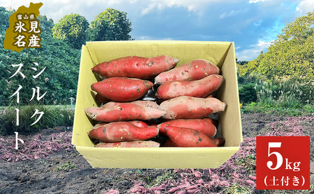 【先行予約】＜シルクスイート＞富山県産 さつまいも 5kg 【2025年12月以降順次発送】 富山県 氷見市 サツマイモ 自然豊か シルクスイート なめらか