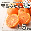 【ふるさと納税】【先行予約】【2025月1月より順次出荷予定】青島みかん約5kg Lサイズ〔鈴木農園〕【1510101】