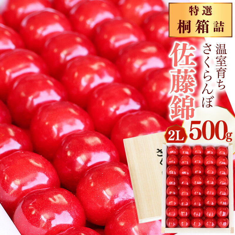 【ふるさと納税】《先行予約》特選 山形県産 温室育ち さくらんぼ 佐藤錦 2L 特秀品 500g 桐箱詰（発泡スチロール梱包）令和8年産【2026年5月上旬頃〜5月中旬頃発送予定】※ 配送不可 沖縄・離島 2026年産 温室栽培 加温 ハウス フルーツ 果物 冷蔵便 逸品 特産