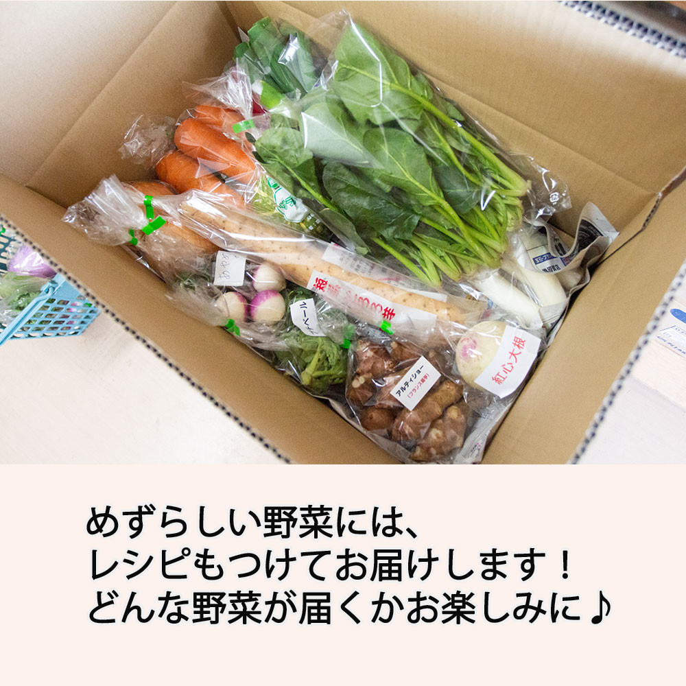 季節のおすすめ野菜おまかせ詰め合わせBOX 8種〜12種類 通常サイズ 野菜セット【16001】