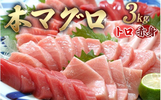 【串本町×北山村】本マグロ（養殖）トロ＆赤身セット 3kg【1ヶ月以内に発送】【配達日指定不可】【nks112】