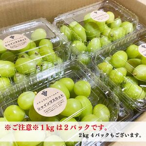 【2025収穫分先行予約】シャインマスカット 1kg バラ粒 500g 2パック 小分け 新着 人気 愛媛県産シャインマスカット まつやましさんしゃいんますかっと マスカット しゃいんますかっと 大粒
