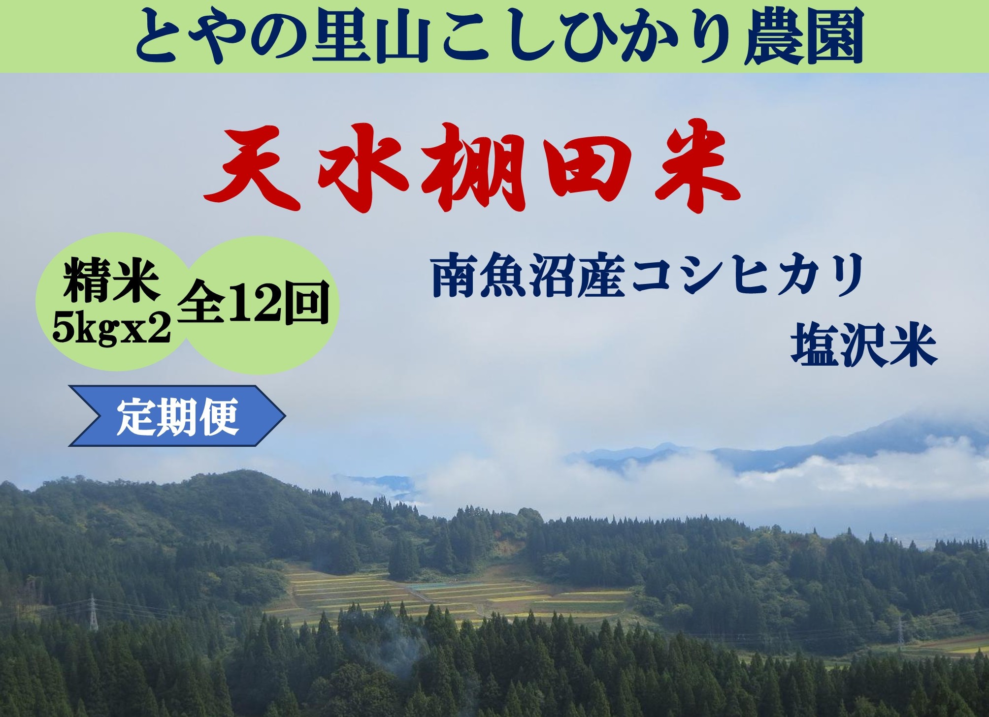 
                  令和8年産新米予約定期便【天水棚田米】特別栽培米雪蔵熟成塩沢産コシヒカリ精米10kg12回「とやの里山継承プロジェクト」【定期便 銘柄米 精米 こしひかり コシヒカリ 魚沼産 新潟米】【2026年10月下旬より順次発送予定】
                
