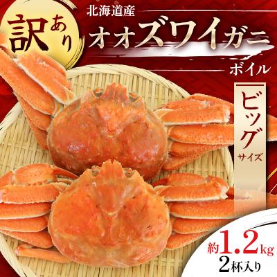 ふるさと納税 様似町 【訳あり】オオズワイガニ ボイル ビッグサイズ  2杯 合計約1.2kg