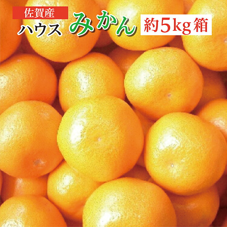 【ふるさと納税】 ハウスみかん 佐賀産 約5kg 箱 | ハウス みかん ハウスみかん 人気 佐賀産 約5kg c-103