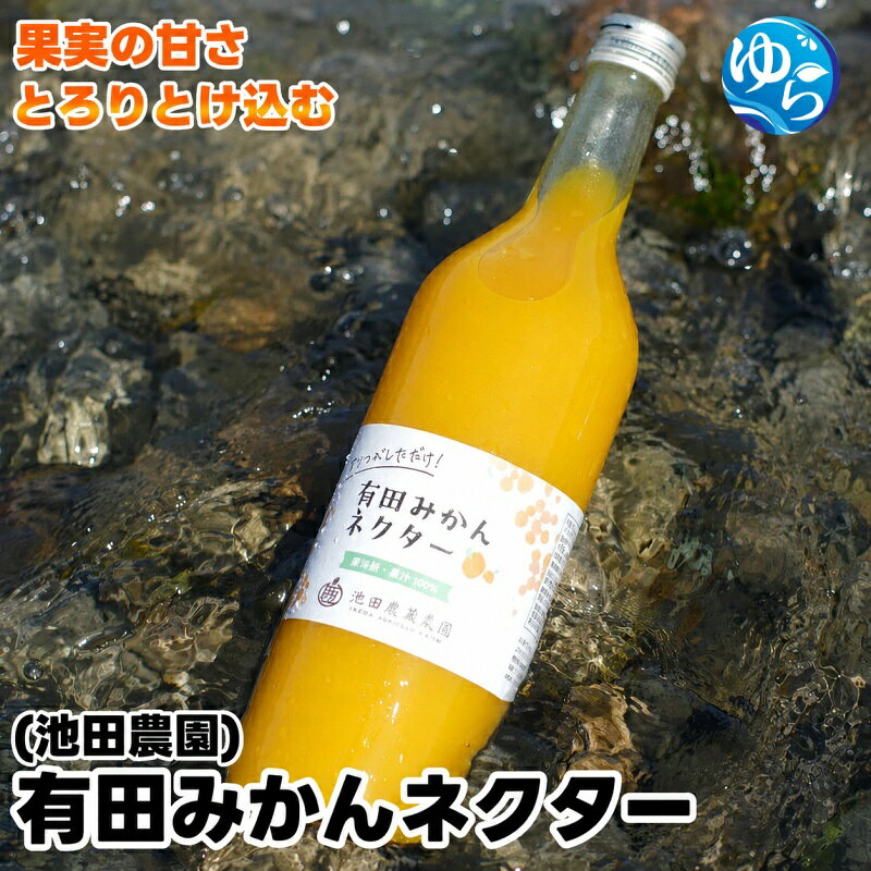 【ふるさと納税】 みかん ネクター 100％ ジュース / 温州みかん 有田みかん 果汁 無添加 柑橘 和歌山 5000円 180ml 720ml ※北海道・沖縄・離島への配送不可 //drink