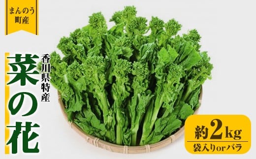 
            ＜選べる＞＜期間限定！2025年12月中旬以降順次発送予定＞菜の花(約2kg/袋入り・バラ) 【man356】【Aglio nero】
          