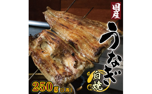 うなぎ 国産 鰻 白焼き 1尾 250g 高知県産あら塩付き 炭火焼き ウナギ 国産うなぎ 白焼 鰻白焼き 塩 あら塩 粗塩 セット 魚 魚介 惣菜 ギフト 贈り物 贈答 土用の丑 和食 日本料理 冷凍 徳島県 吉野川市