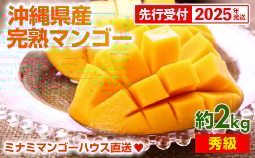 
            【先行受付】【2025年発送】ミナミマンゴーハウスの完熟アップルマンゴー【秀】約2kg（4～6玉）
          