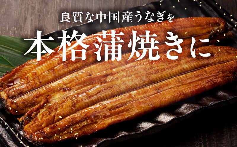 【土用の丑の日までにお届け】うなぎ蒲焼 合計320g【約160g×2尾 特製タレ付 鰻 ウナギ 中国産 レンジ 温めるだけ 簡単調理 ふわふわ 炭火焼き 備長炭 手焼き】 kgp0067-1d