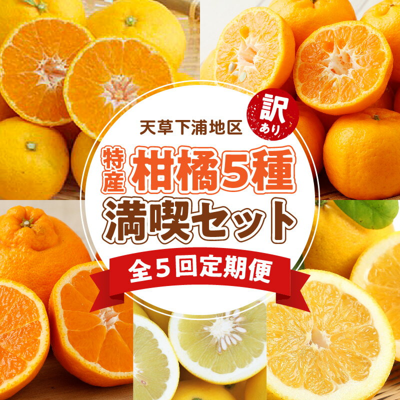 【ふるさと納税】訳あり 定期便 5回 果物 早生温州ミカン 下浦100年ポンカン 不知火 パール柑 あまくさ木成り晩柑 みかん ポンカン 晩柑 フルーツ デザート 柑橘 果汁 産地直送 ご家庭用 常温 天草産 九州 お取り寄せフルーツ 熊本県 天草市 送料無料