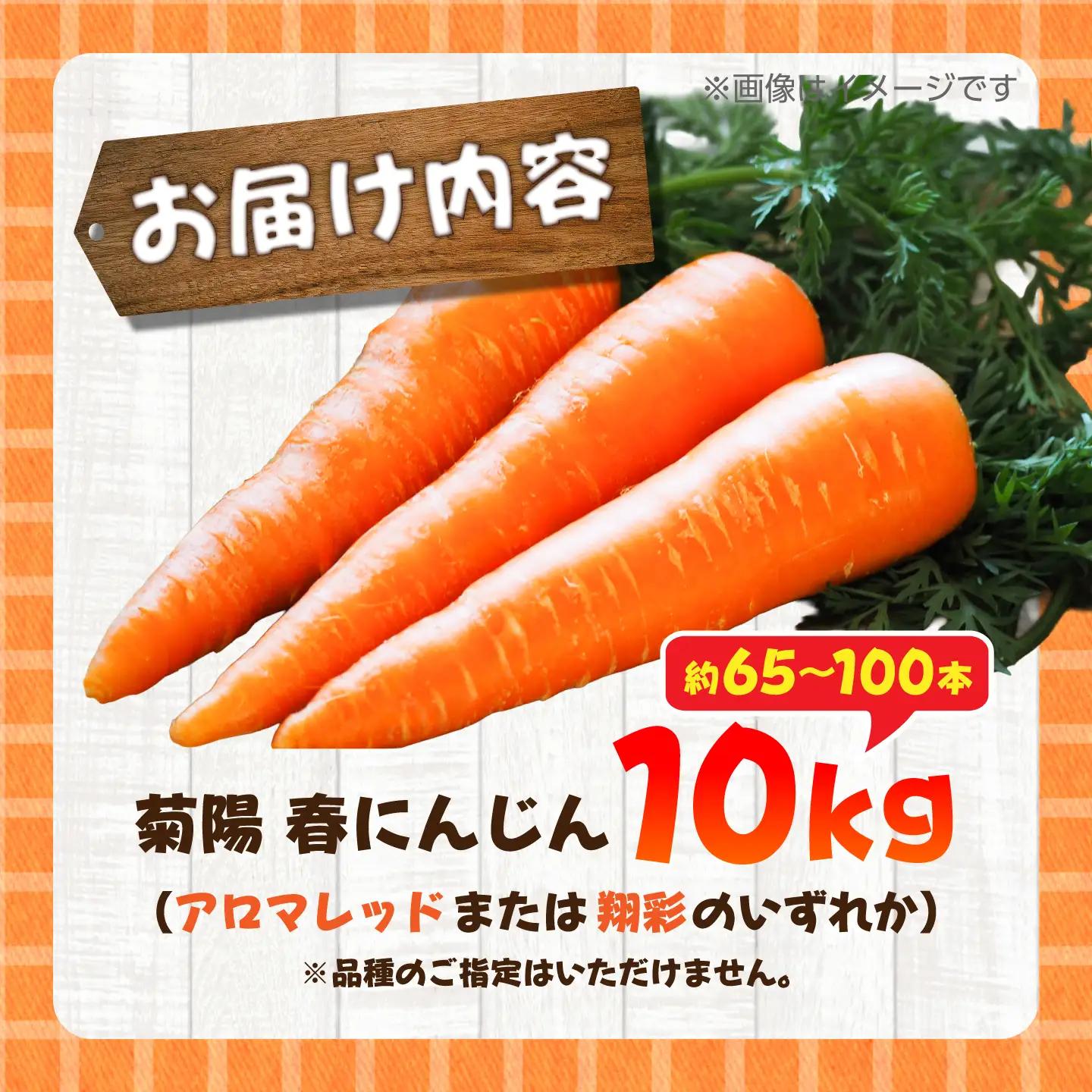 菊陽春にんじん 10kg にんじん BHDH003