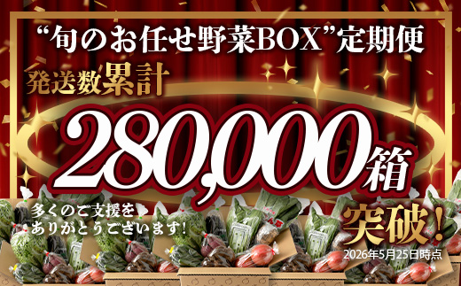 E-72 【６ヶ月お届け】野菜 旬のおまかせ野菜BOX 8~10品目 | ふるさと納税 野菜 定期便 定期 やさい 野菜セット 詰め合わせ 旬 新鮮 産地直送 大容量 ふるさと 佐賀県 鹿島市 安全安