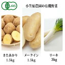 【ふるさと納税】小笠原農園の有機野菜3種詰合せ（きたあかり1.5kg・メークイン1.5kg・リーキ3kg）【北海道十勝幕別】≪2024年秋出荷先行予約≫　野菜・じゃがいも・ねぎ・葱・セット・詰合せ　お届け：2024年9月下旬～12月下旬