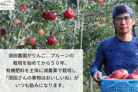 信州産　果汁100％りんごジュース＆「食べる」まるごと人参ジュースセット　計２本〔SA-10〕