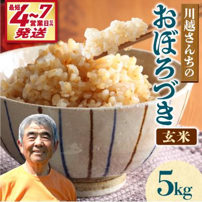 ふるさと納税 雨竜町 【最短4〜7営業日発送】令和7年産 川越さんちの おぼろづき 玄米 5kg (5kg×1袋)